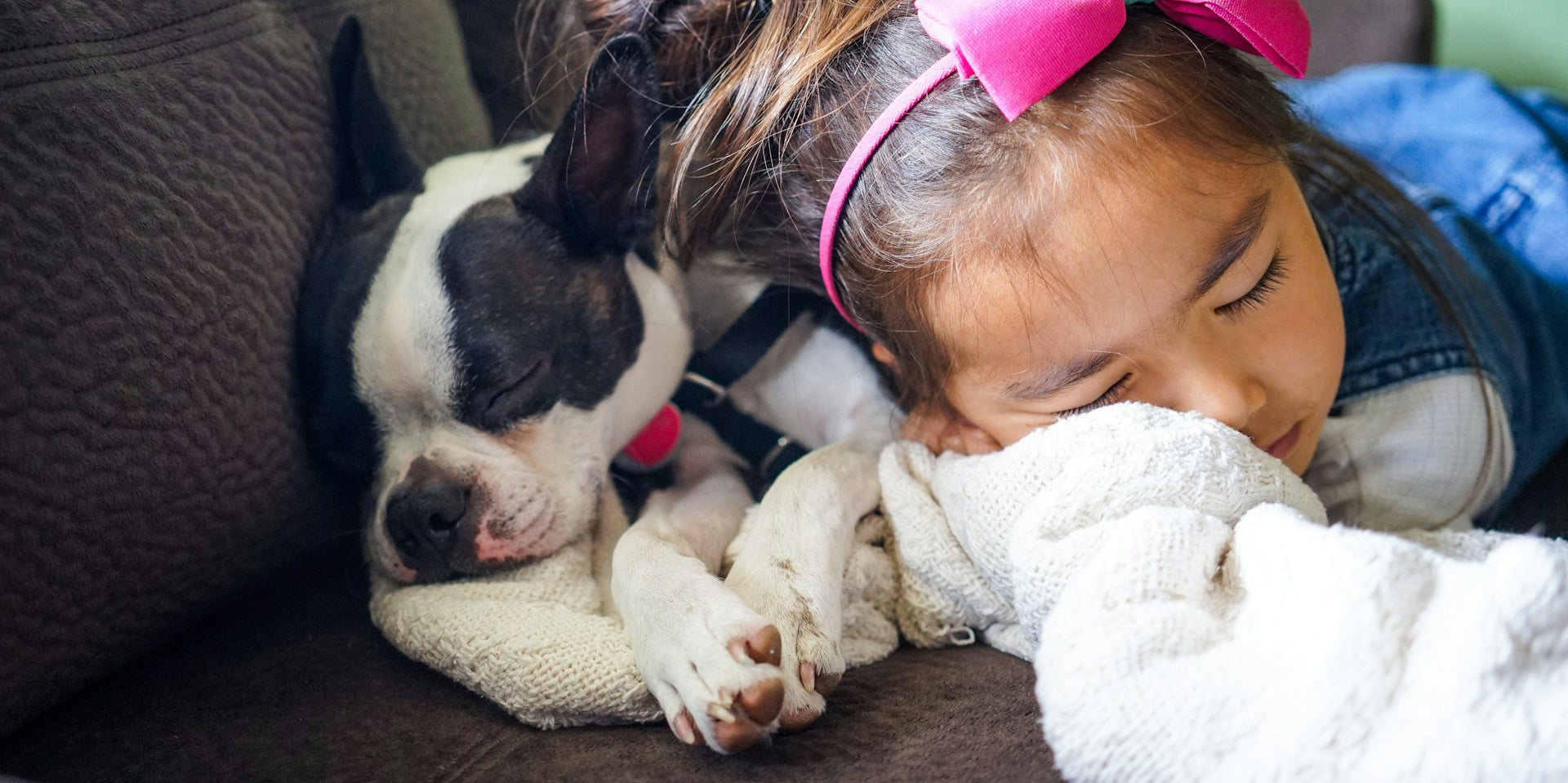 Pet and Kid-Friendly Cleaning: Why Quick 'n Brite All-Purpose Cleaner is a Must-Have